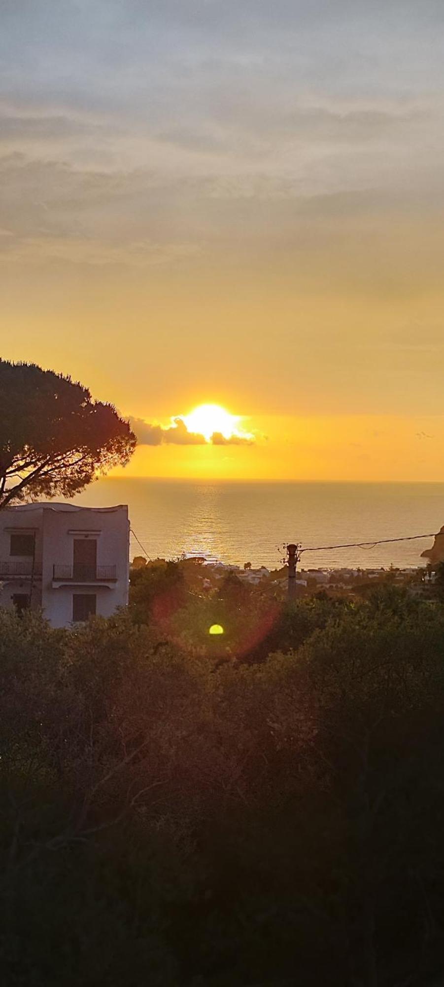 Villa Antonietta อีสเกีย ภายนอก รูปภาพ