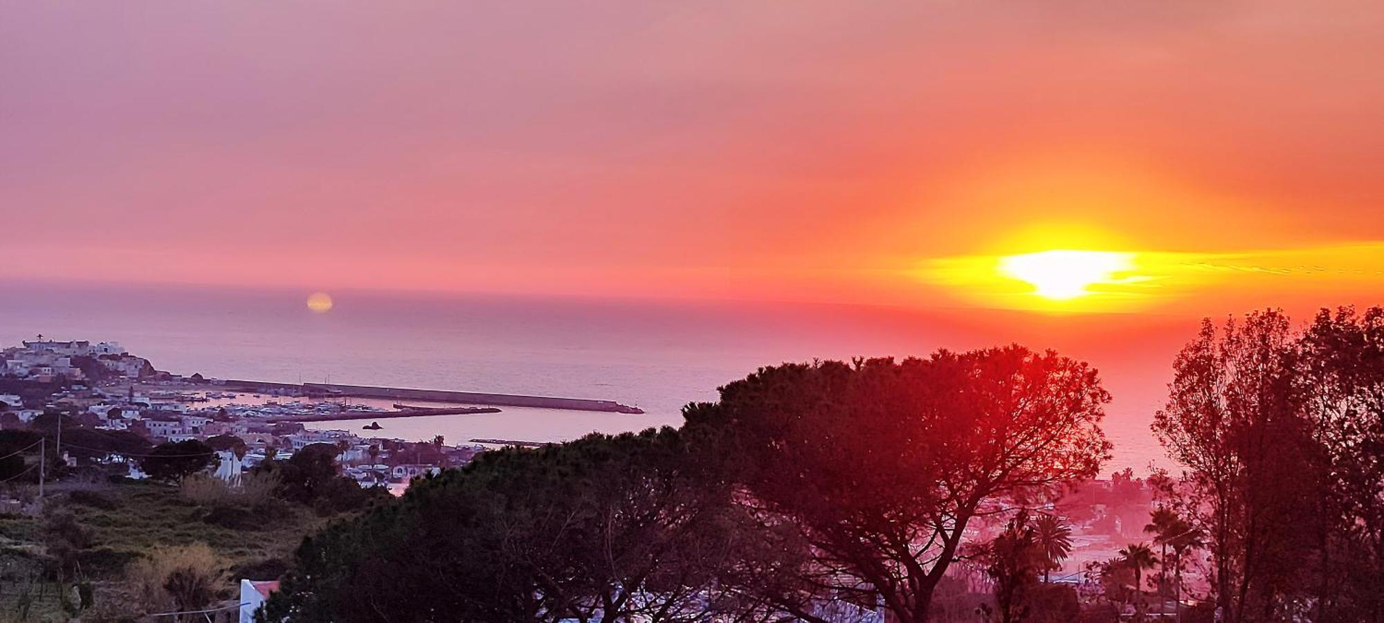Villa Antonietta อีสเกีย ภายนอก รูปภาพ