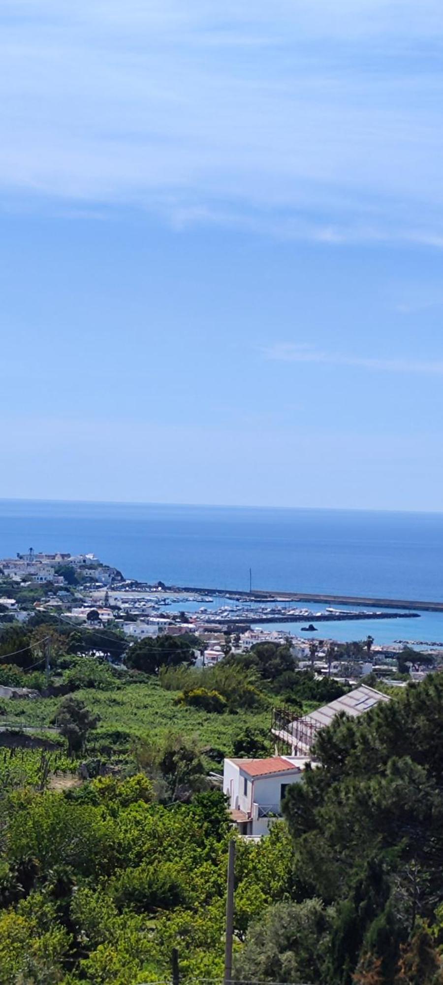 Villa Antonietta อีสเกีย ภายนอก รูปภาพ