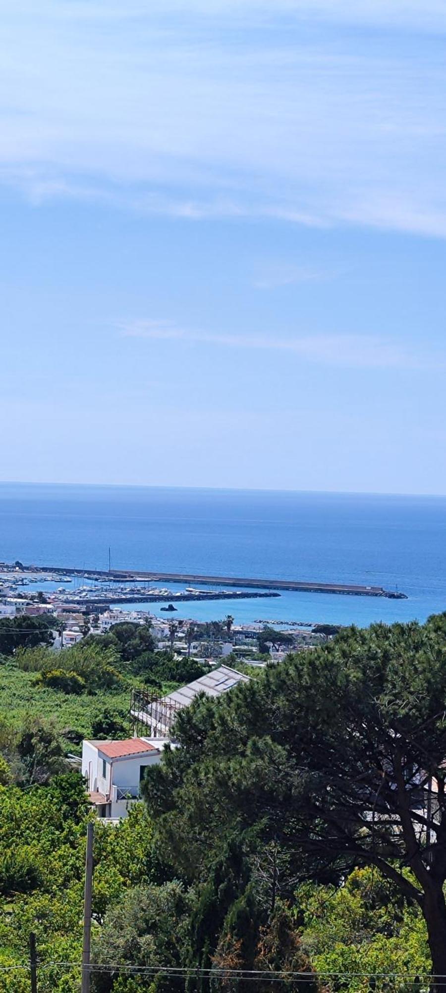 Villa Antonietta อีสเกีย ภายนอก รูปภาพ